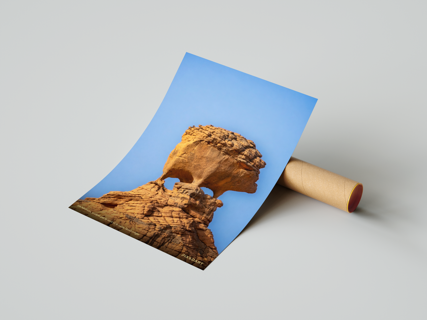 Un hérisson, sculpté par le vent et le sable,Tassili n'Ajjer