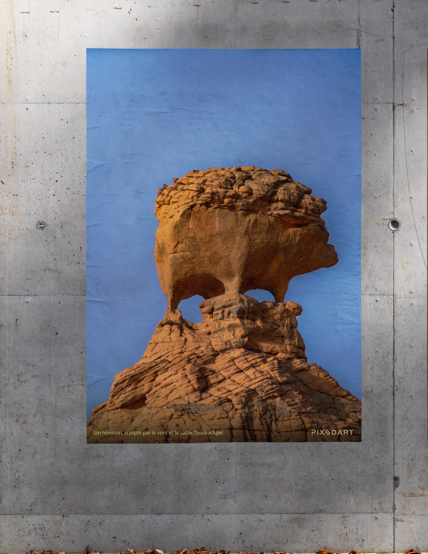 Un hérisson, sculpté par le vent et le sable,Tassili n'Ajjer