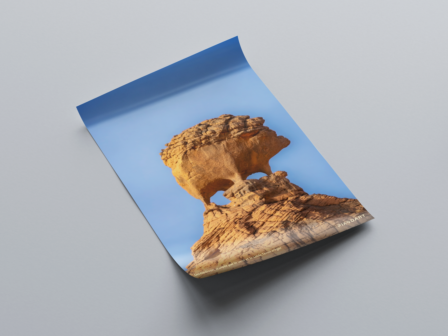 Un hérisson, sculpté par le vent et le sable,Tassili n'Ajjer