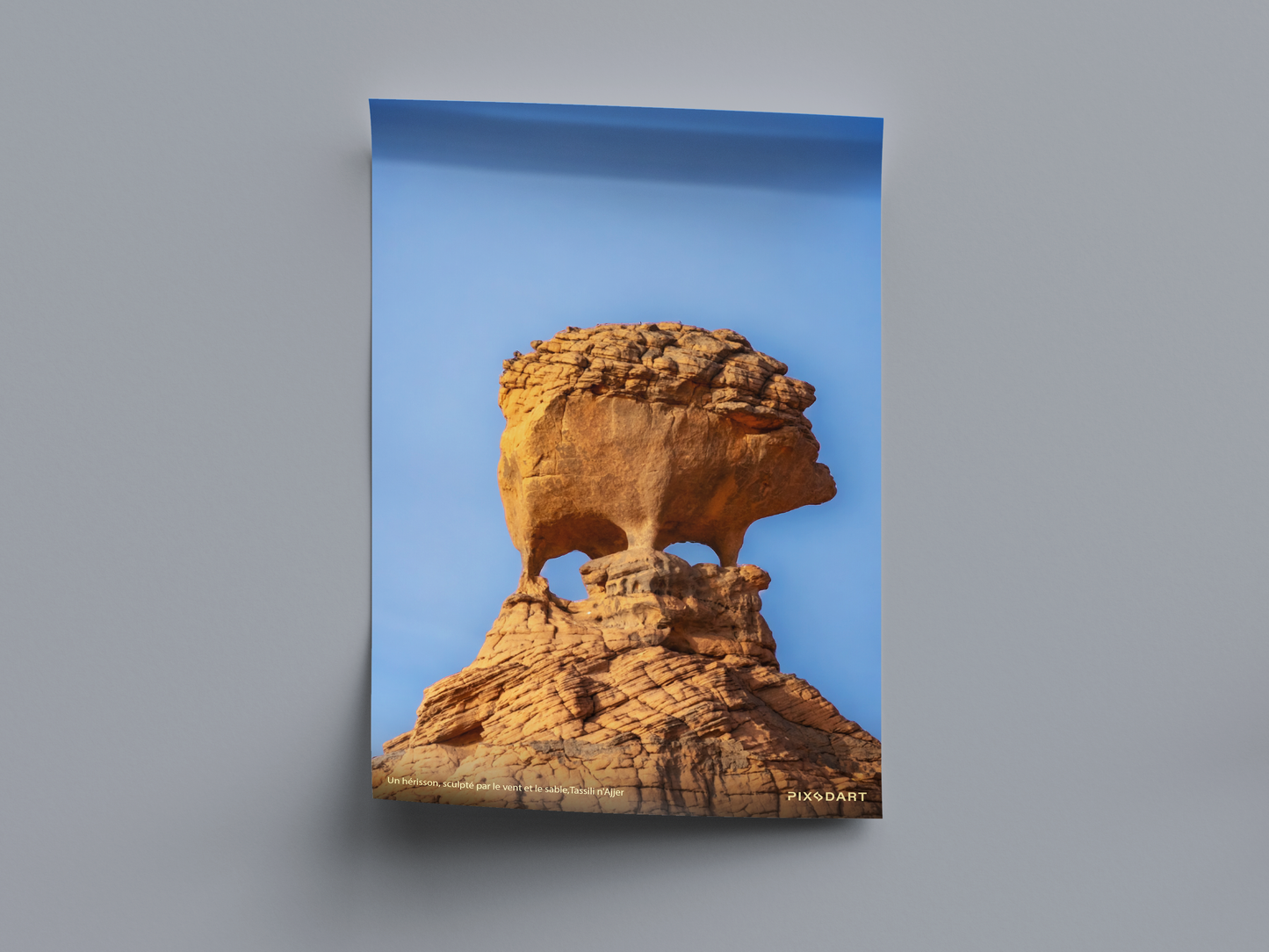 Un hérisson, sculpté par le vent et le sable,Tassili n'Ajjer